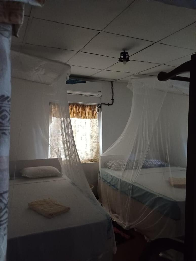50* Stay ديكويلاّ تين المظهر الخارجي الصورة